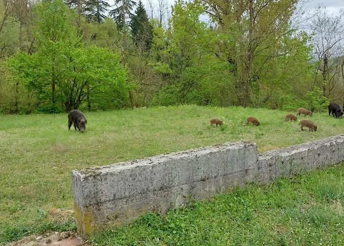 S Anna Hospitality Solutions Arquata Scrivia